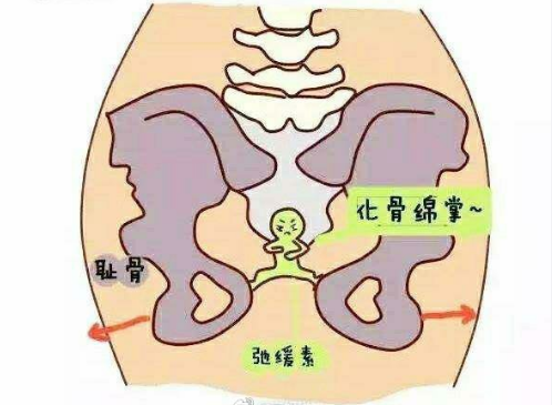 孕晚期耻骨联合疼怎么办?