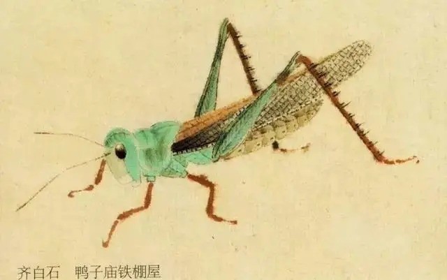 国画技法图典——草虫篇:蝗虫 蚂蚱 蝈蝈 螽斯 螳螂 蟋蟀