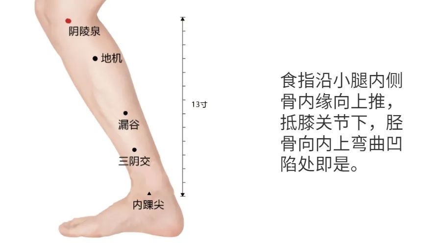期门穴既然可以调节肝的功能,增强肝对于血的募集能力.