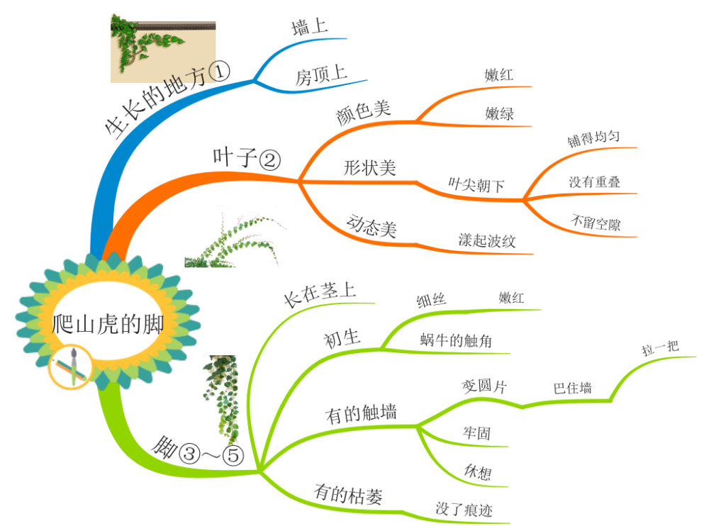 高效学习法4年级上册语文课本思维导图