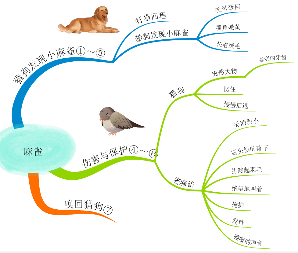 四年级上册全册课文思维导图