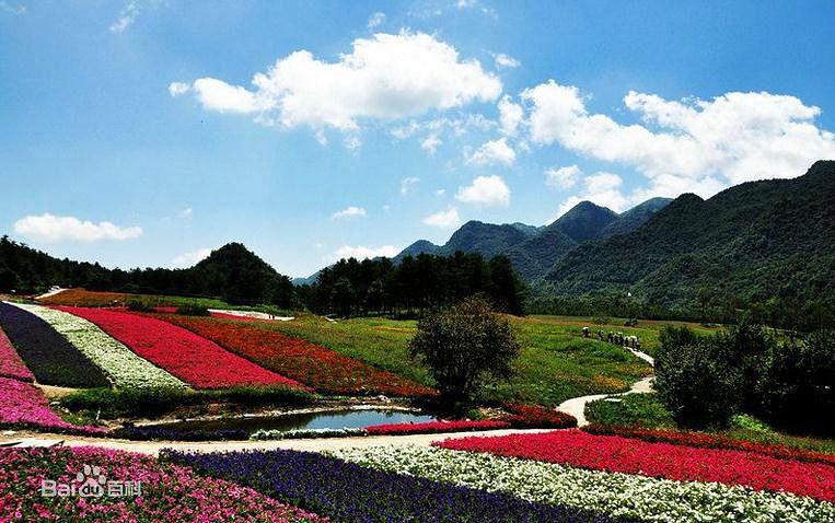 红池坝国家森林公园美景