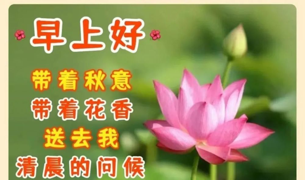 10月2日秋天漂亮早上好图片动态表情大全,最美风景早上好美图大全