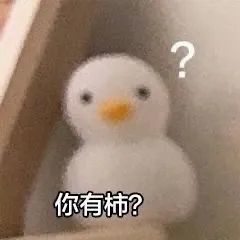 表情包动图我不理解