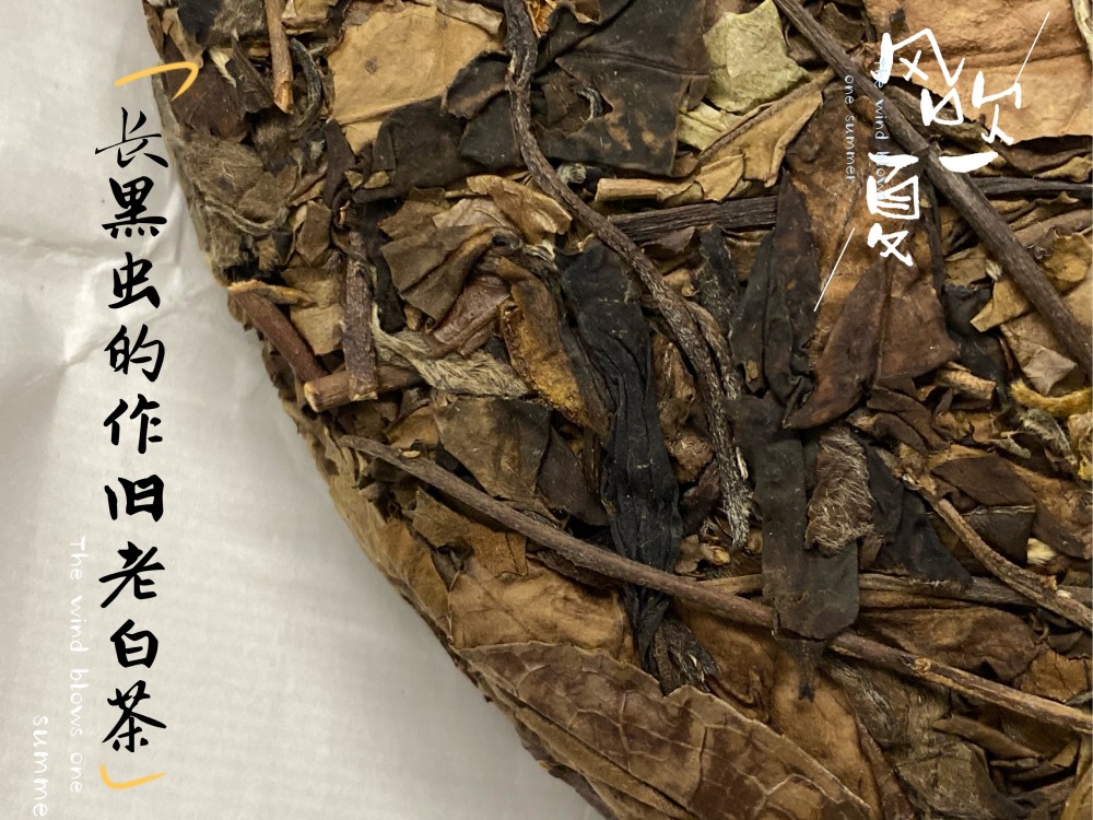 老白茶只要仓储用心就好,没什么特别的?难怪你沦为烂茶收割机
