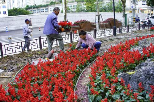 温州网讯 9月25日,在温州市区五马街,市民在巨型国旗前留影.