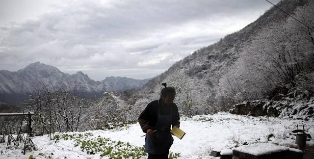 终南山有上万人"隐居",当真是看破红尘?当地村民却称皆是假象