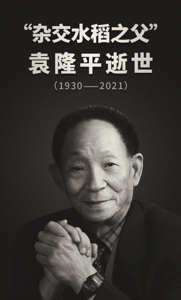 杂交水稻之父袁隆平逝世,因"捡漏"拿影帝的果靖霖现在怎么样?
