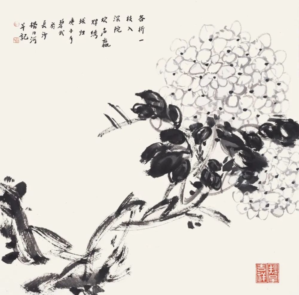 《绣球花》 34x34cm