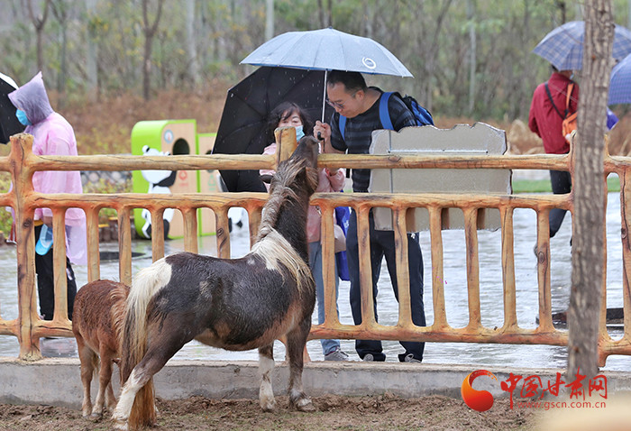 兰州野生动物园今日开园 记者带您抢先体验