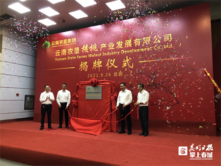 云南农垦核桃产业发展有限公司揭牌 助推产业由大变强