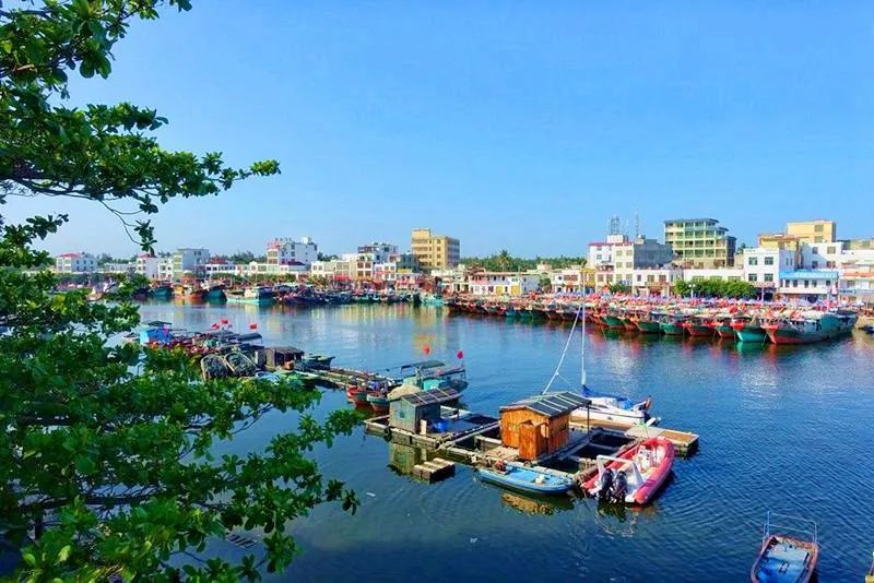 潭门港 温馨提示 建议挑选正规的海鲜店铺进行购买和加工.