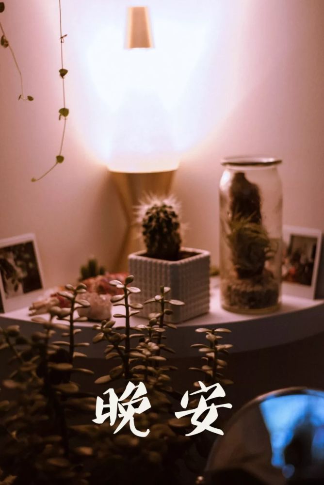 晚安句子图片文案