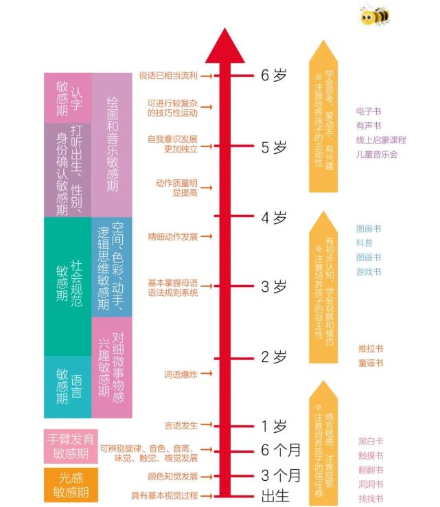 值得收藏的06岁启蒙路线图成长的每个阶段不错过不遗憾