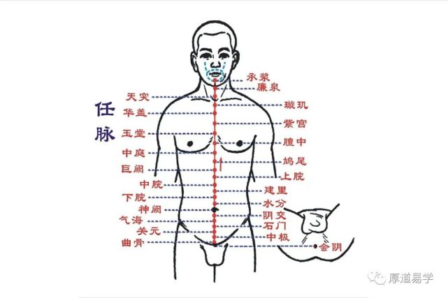 十二经络和任督二脉