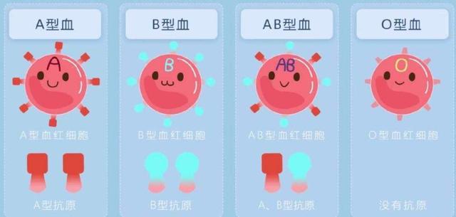 ab型血和a型血生的孩子是什么血型