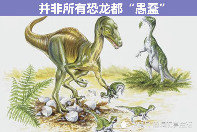 大多数恐龙都是食草动物?关于恐龙9个鲜为人知的有趣秘密