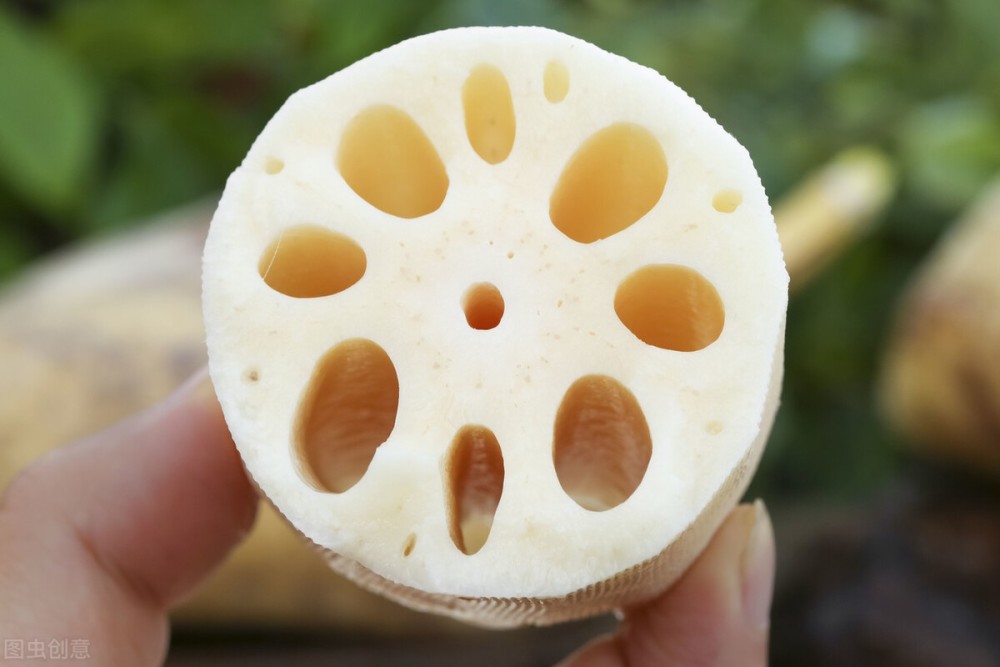 炖莲藕汤选七孔还是选九孔莲藕湖北藕农教你挑出粉藕