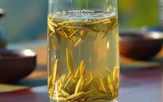 舌尖上的中国茶叶:银针白毫茶