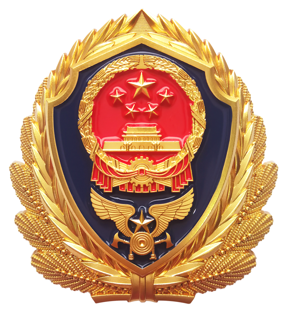烈火英雄|"中国消防忠诚卫士"刘亮:一往无前永担当
