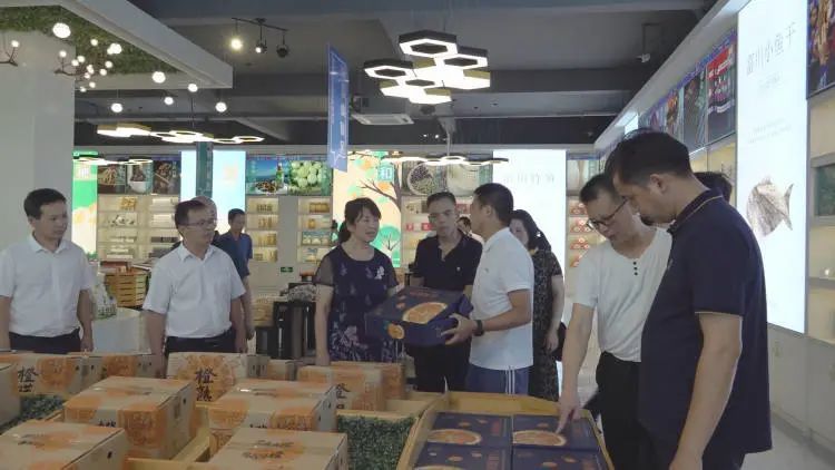 湖南省邵阳市新宁县人大常委会调研组到我县调研