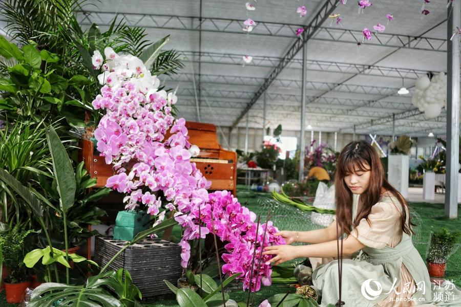 探馆沭阳花木节:一隅一景色 一花一颜色