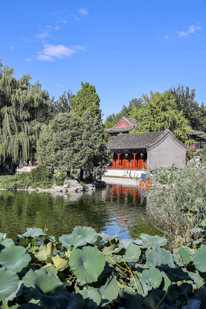北京二环里的古典园林因拍过红楼梦而家喻户晓