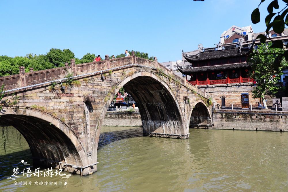 宁波市这个古镇开业半年多了,门可罗雀,两棵古树居然成为风景