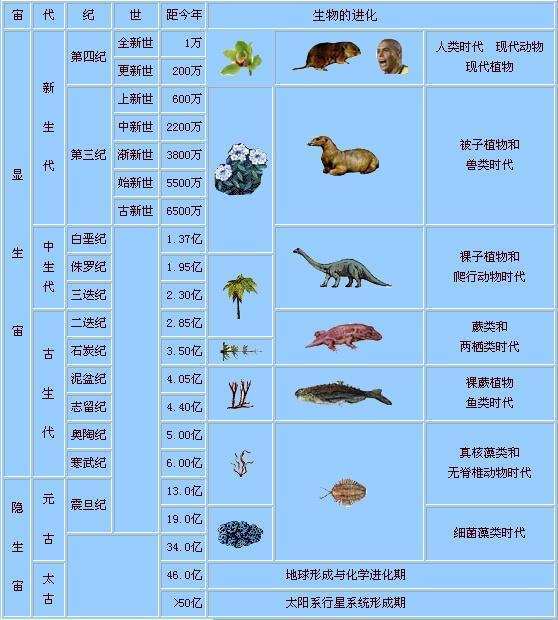 第1个成煤期处于古生代的石炭纪和二叠纪,成煤植物主要是孢子植物