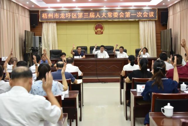 龙圩区最新换届,局长名单!