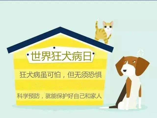 28世界狂犬病日——关于狂犬病,您最为关心的15个问答