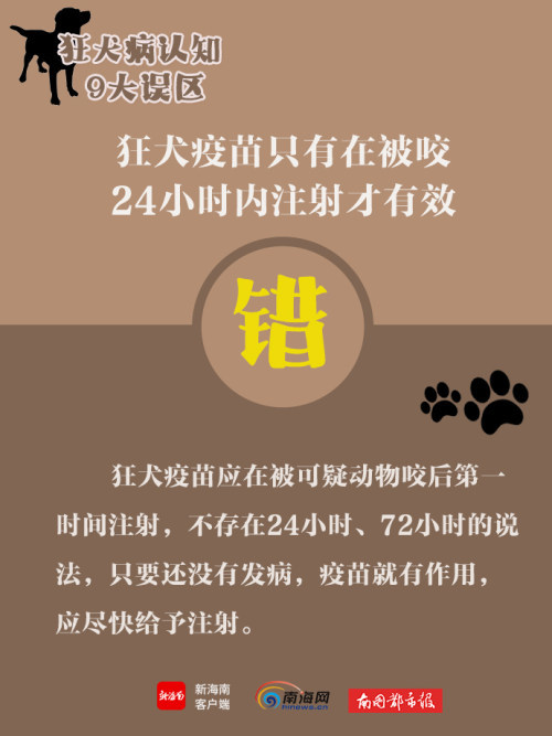 海报|世界狂犬病日,带你了解狂犬病9大认知误区