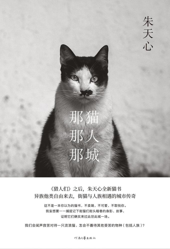 创作猫短剧流程详解，猫短剧创作流程详解
