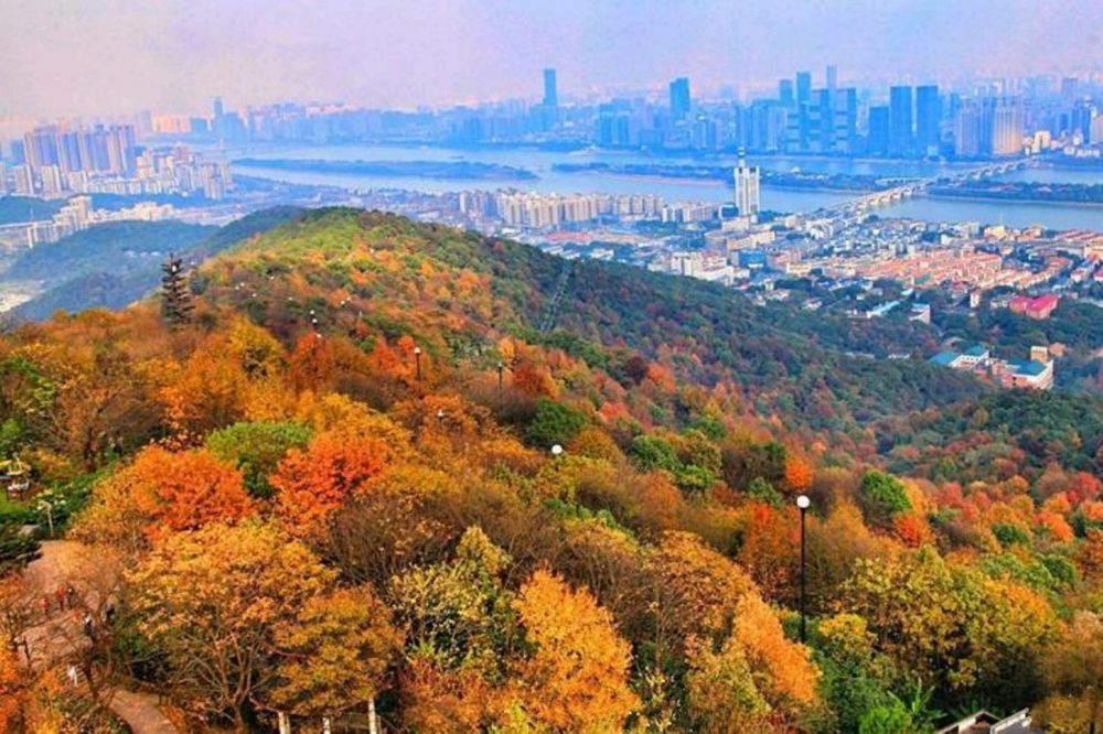 韩国游客拍下长沙"岳麓山",引发热议:这简直是大自然的馈赠