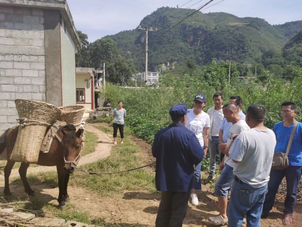 昭通市公安局调研组到彝良县龙街乡洛泽河镇调研乡村振兴驻村工作