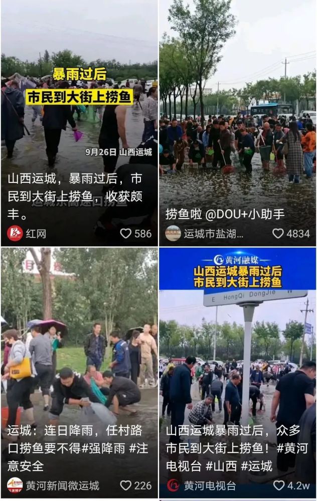 【运城头条】刷屏了!运城红旗东街捞鱼现场曝光(多图)