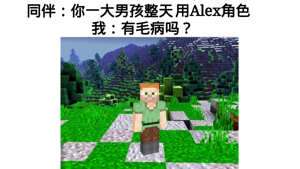 我的世界六张梗图表达mc六个知识老玩家蛛网村庄极度真实
