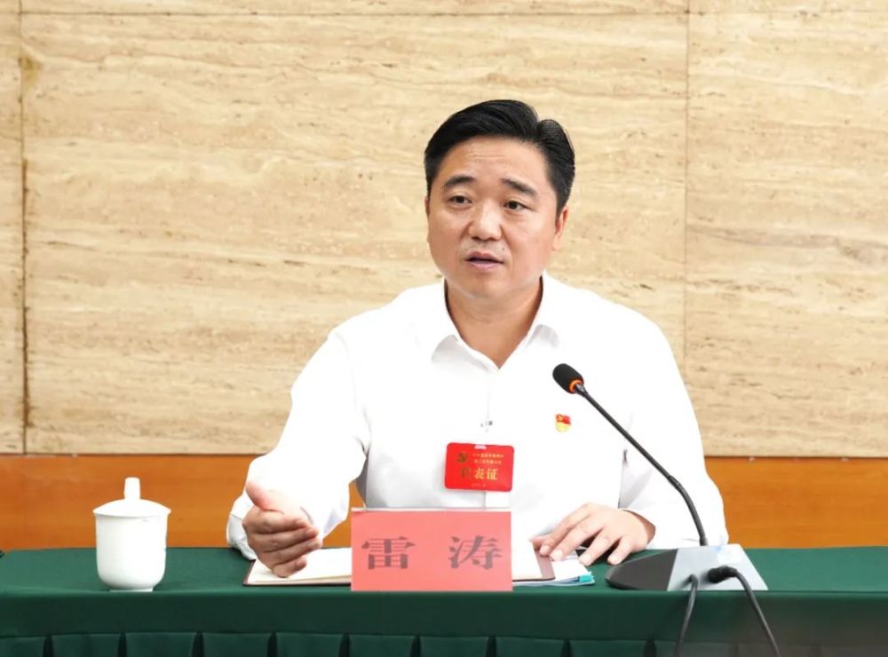 【聚焦党代会】雷涛,瞿进等参加分团讨论