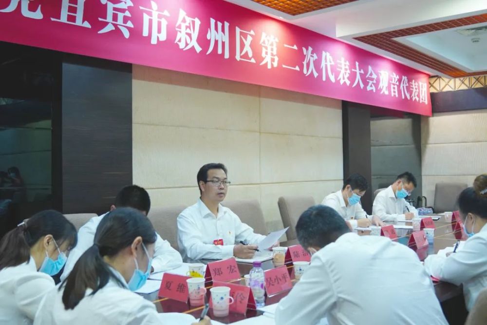 伍绍彬参加观音代表团分团讨论