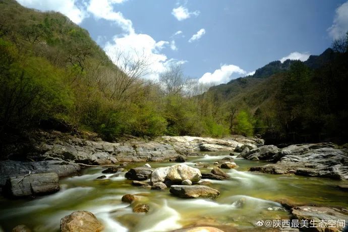 寻找陕西最美生态空间|陕西黄柏塬自然保护区