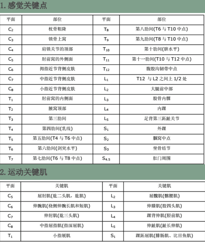 临床上为了迅速确定损伤水平,常做一些关键肌肉和感觉点的检查.