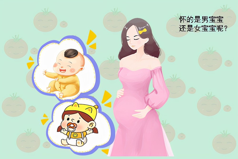 小宝贝在孕妇肚子里,慢慢长大了,孕妇就会有上怀和下怀的区别.