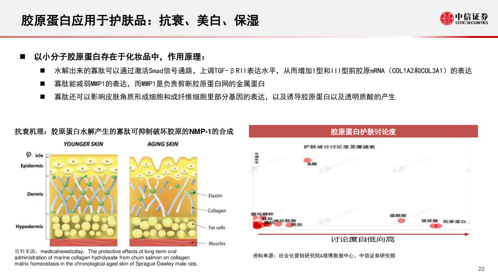 锦波生物-肌频:以重组iii型人源化胶原蛋白为核心成分,强调iii型胶原