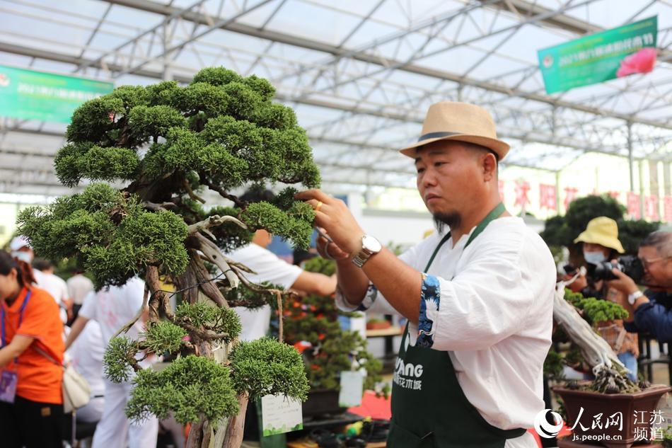 组图2021年第九届江苏沭阳花木节开幕