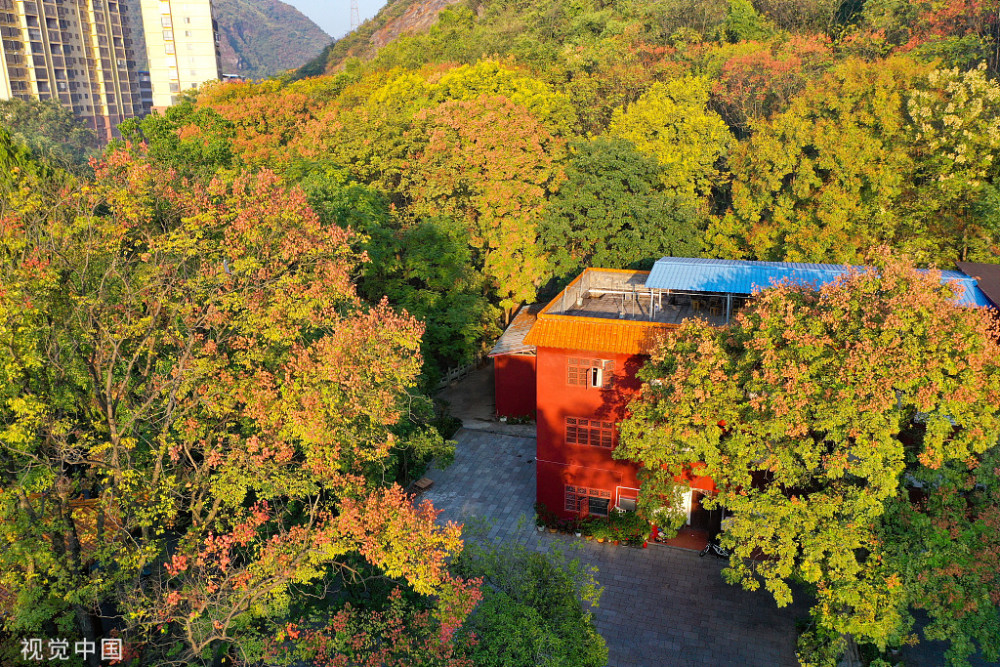 广西桂林:全州湘山寺景区秋意浓