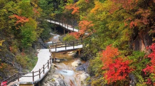 商州秦岭江山景区——洛南音乐小镇——商州蟒岭绿道——丹凤棣花古镇