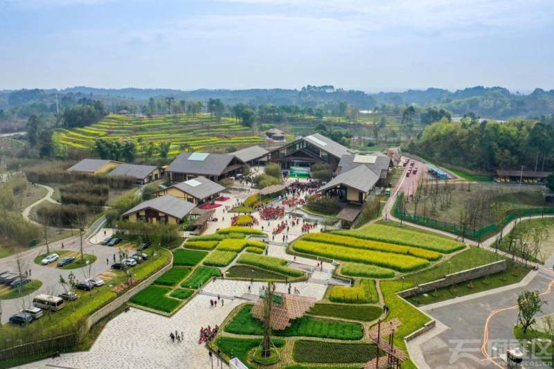 欢乐田园(双流区)——空港花田(双流区)——成都国色天乡(温江区)