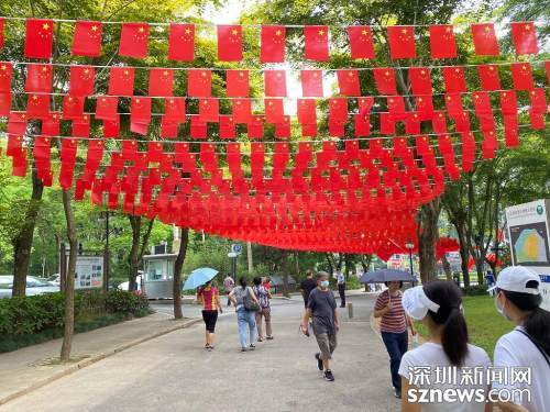 in视频精心布置迎国庆深圳市城管部门开展节日氛围营