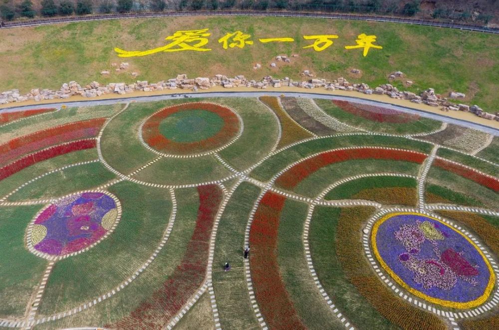 秦巴生态植物园