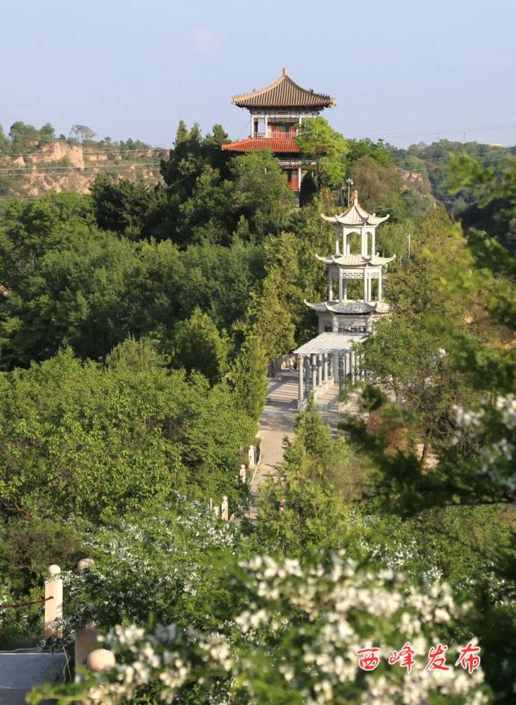 国庆畅游庆阳丨来西峰,揽胜黄土大塬,乐享乡村美景